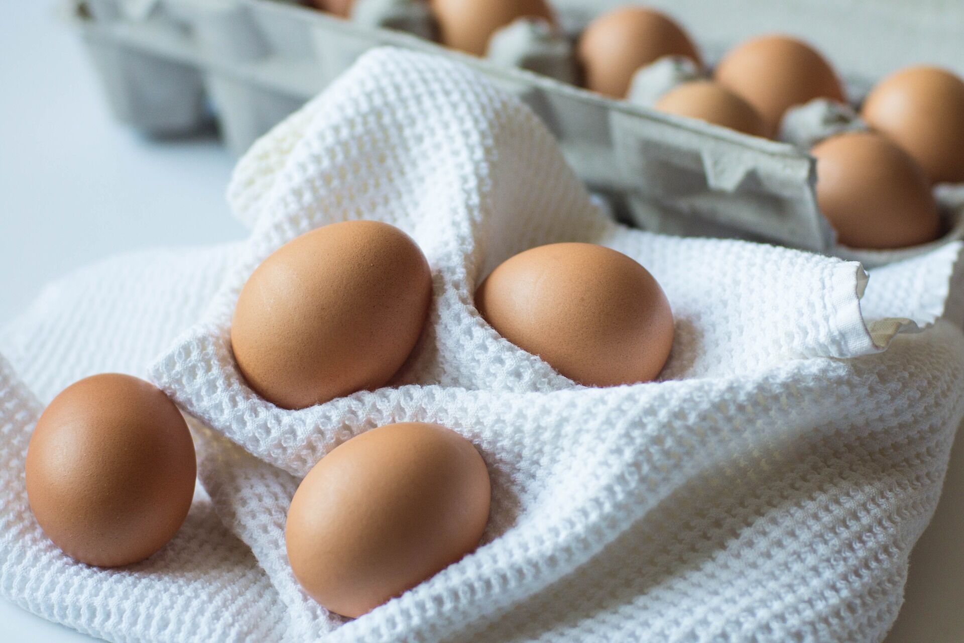 eggs-1111587_1920