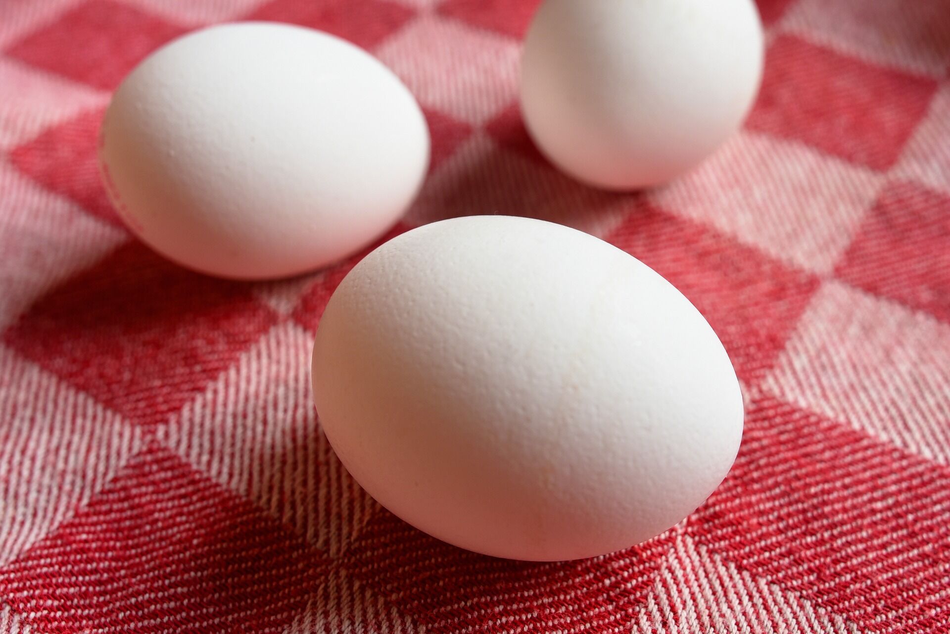 egg-3526796_1920