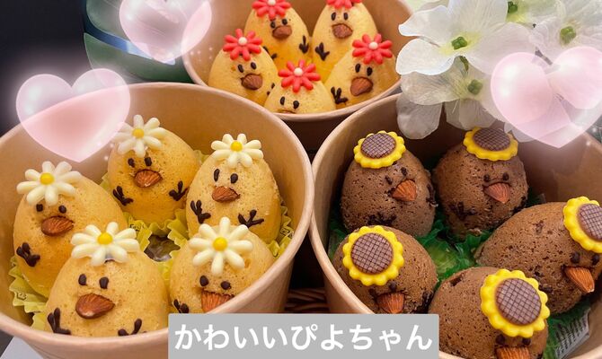 ぴよちゃん箱入り